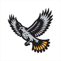 Obraz premium Red tail hawk vector, flying, set hawak