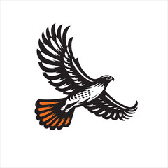 Obraz premium Red tail hawk vector, flying, set hawak