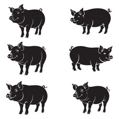 Different Pig Breeds – Farm Livestock Vector Collection