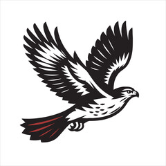Obraz premium Red tail hawk vector, flying, set hawak