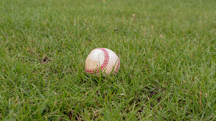 Image capturing a baseball nestled among green grass blades, suggesting a game or recreation. Ideal for themes related to sports, summer activities, or outdoor play.