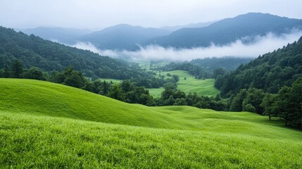 Obraz premium Lush valley, misty mountains, serene landscape, perfect for backgrounds