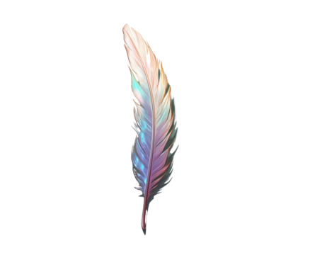 Colorful magic feather isolated on white background, PNG