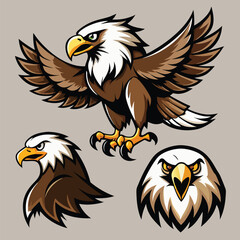 Set of Five Stylized Eagle Logos with Star Emblems