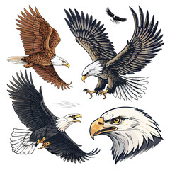 Set of Five Stylized Eagle Logos with Star Emblems