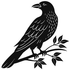 crow on a branch
