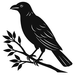 vector illustration of a bird