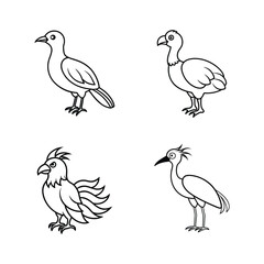 Fototapeta premium Set of bird line art 