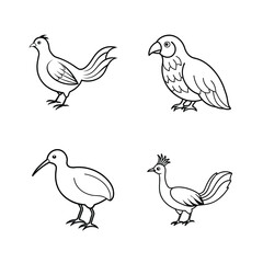 Set of bird line art 