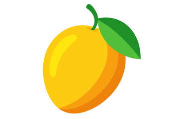 vector illustration of orange fruit