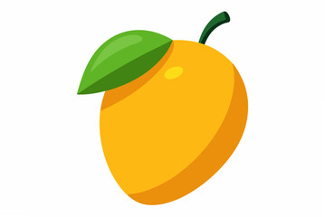 vector illustration of an orange