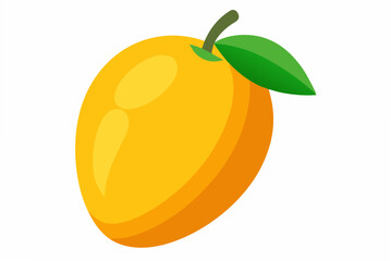 vector illustration of orange