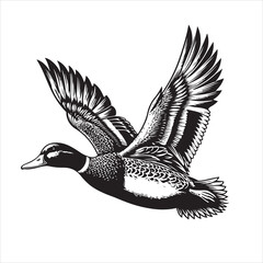 vector duck flying, sitting and howling