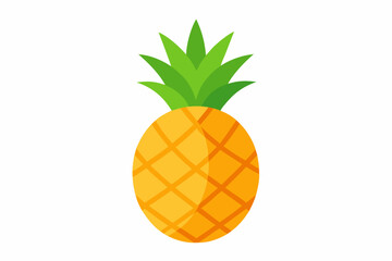 vector illustration of a pineapple