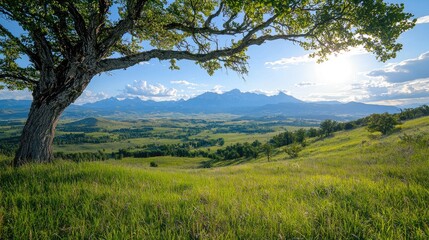 Obraz premium Mountain valley view from tree, summer day