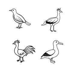 Fototapeta premium Set of bird line art 