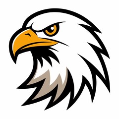 bald eagle vector illustration