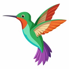 hummingbird in flight isolated on white background