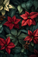 Vibrant Poinsettias: A Festive Celebration of Natural Elegance
