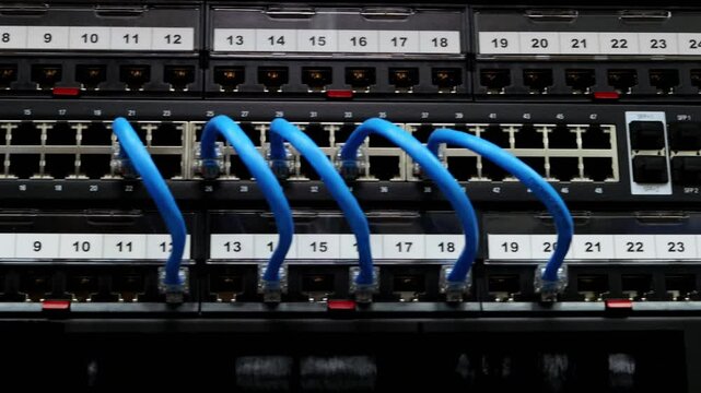 network hub and patch cables