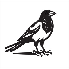 Vector magpie silhouette black and white