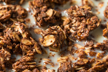 Homemade Healthy Chocolate Granola Breakfast Cereal