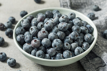 Raw Organic Blue Sweet Blueberries