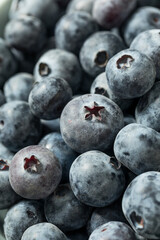 Raw Organic Blue Sweet Blueberries