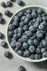 Raw Organic Blue Sweet Blueberries