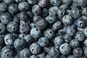 Raw Organic Blue Sweet Blueberries