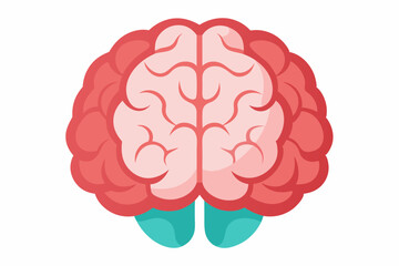 Brain human anatomy biology organ body system health care