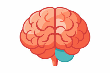 Brain human anatomy biology organ body system health care