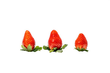 Three strawberries are shown on a white background. The strawberries are small and red. They are placed on top of a leaf
