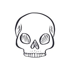 Hand drawn black and white line art human skull isolated on white background. Monochrome doodle skeleton head tattoo design