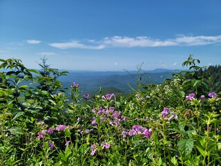 Tennessee landscapes