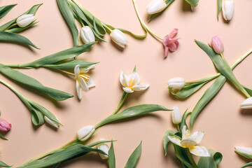 Tulip flowers on a beige background. Flat lay, top view. Gifts for the holidays. Copy space.