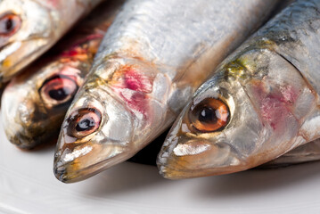 Primo piano di sardine fresche, cibo mediterraneo, cucina italiana 