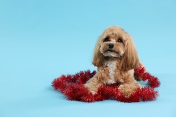 Cute dog with shiny tinsel on light blue background. Space for text