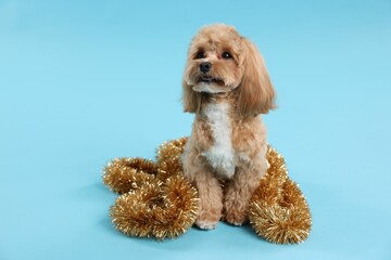 Cute dog with shiny tinsel on light blue background