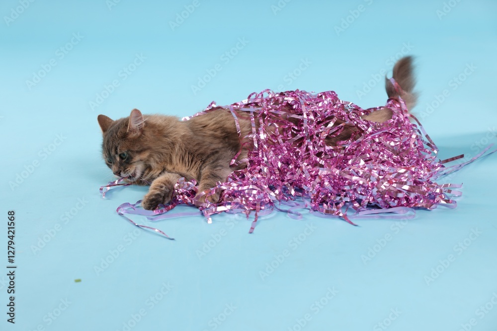 Wall mural Cute cat with pink Christmas tinsel on light blue background