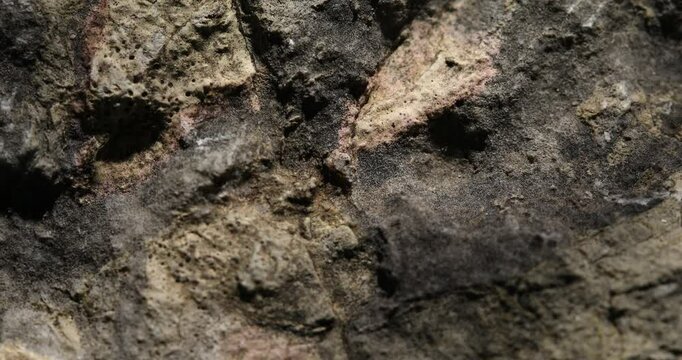 Close-Up of a Dark Weathered Rock with Rough Texture