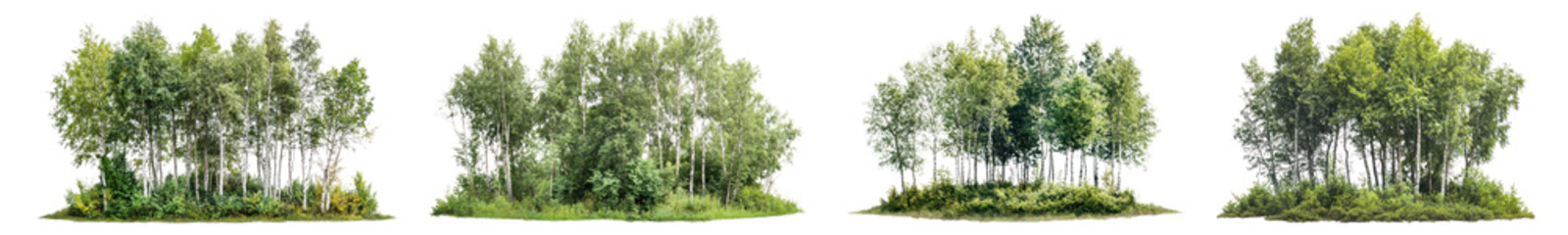 Obraz premium PNG Lush green forest clusters displayed, element set on transparent background