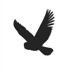 Silhouette of an owl in mid-flight against a white background.