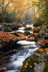 Misty morning view of scenic stream in the Smoky Mountain National Park