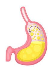 Swimming pool top view. Olympic pool swimming. Paths dip pool top view. Vector stock