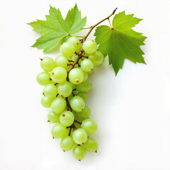 Fresh Green Grapes with Leaves on White Background