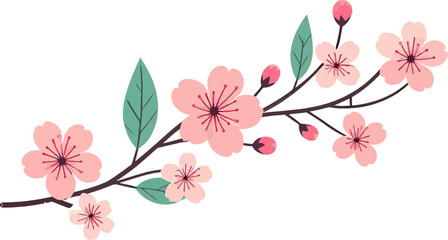 Cherry Blossom flowers. Realistic Sakura blossom branch .Pink petals of  japanese sakura .Hanami element. Watercolor blooming cherry flowers isolated on a white background. Sakura season.