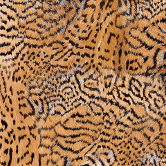 Seamless camouflage fabric texture. Abstract background and texture for design