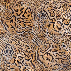Seamless camouflage fabric texture. Abstract background and texture for design