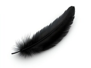 Single black feather isolated on white. Perfect for designs needing elegance, mystery, or freedom themes.
